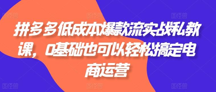 拼多多低成本爆款流实战私教课，0基础也可以轻松搞定电商运营 - 搞薯条网-搞薯条网