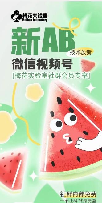 梅花实验室2024年AB技术视频号AB合成破解版 - 搞薯条网-搞薯条网