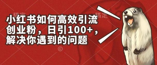 小红书如何高效引流创业粉，日引100+，解决你遇到的问题【揭秘】 - 搞薯条网-搞薯条网