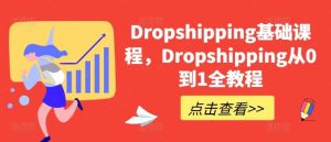 Dropshipping基础课程,Dropshipping从0到1全教程-搞薯条网