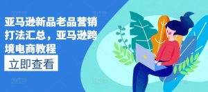 亚马逊新品老品营销打法汇总,亚马逊跨境电商教程-搞薯条网