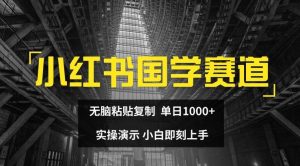 小红书国学赛道,无脑粘贴复制,单日1K,实操演示,小白即刻上手【揭秘】-搞薯条网