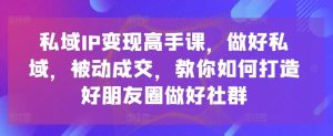 私域IP变现高手课,做好私域,被动成交,教你如何打造好朋友圈做好社群-搞薯条网