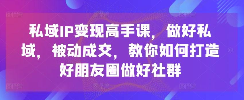 私域IP变现高手课，做好私域，被动成交，教你如何打造好朋友圈做好社群 - 搞薯条网-搞薯条网