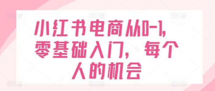小红书电商从0-1，零基础入门，每个人的机会 - 搞薯条网-搞薯条网