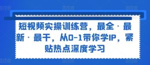 短视频实操训练营,最全·最新·最干,从0-1带你学IP,紧贴热点深度学习-搞薯条网
