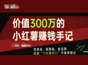 价值300万的小红书赚钱手记,变现高、链路短、轻运营,这波“小红薯风口”不能再错过-搞薯条网
