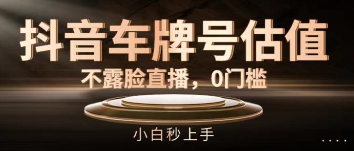 抖音车牌号估值，不露脸直播，0门槛，小白秒上手【揭秘】 - 搞薯条网-搞薯条网
