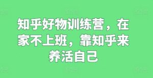 知乎好物训练营，在家不上班，靠知乎来养活自己-搞薯条网
