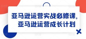 亚马逊运营实战必修课，亚马逊运营成长计划-搞薯条网