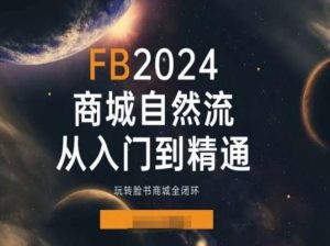 2024Faceboo商城自然流(从入门到精通)，玩转脸书商城全闭环-搞薯条网
