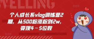 个人成长系vlog训练营2期，从500粉涨粉到2w，变现4～5位数-搞薯条网