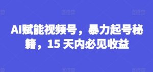 AI赋能视频号,暴力起号秘籍,15 天内必见收益【揭秘】-搞薯条网