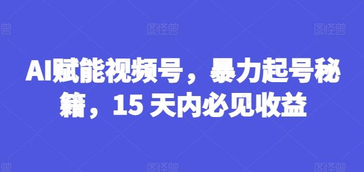 AI赋能视频号，暴力起号秘籍，15 天内必见收益【揭秘】 - 搞薯条网-搞薯条网