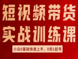 短视频带货实战训练课，好物分享实操，小白0基础快速上手，0到1起号-搞薯条网
