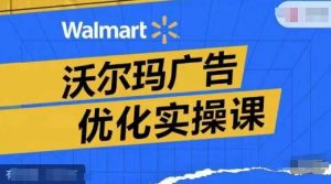 沃尔玛广告优化实操课,广告报告实操讲解,广告如何提高转化和ROAS等-搞薯条网