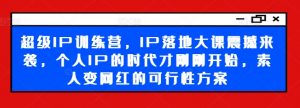 超级IP训练营，IP落地大课震撼来袭，个人IP的时代才刚刚开始，素人变网红的可行性方案-搞薯条网