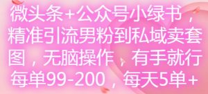 微头条+公众号小绿书，精准引流男粉到私域卖套图，无脑操作，有手就行，每单99-200，每天5单-搞薯条网