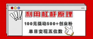 利用杠杆100元撬动500+创业粉,单日变现5位数-搞薯条网