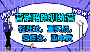 营销陪跑训练营，轻理论，重实战，轻概念，重本质，适合中小企业和初创企业的老板-搞薯条网
