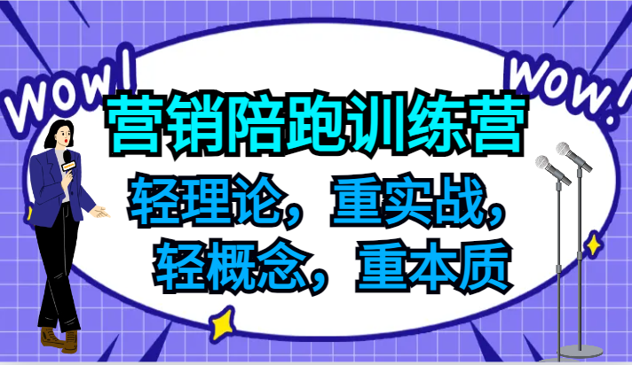 营销陪跑训练营，轻理论，重实战，轻概念，重本质，适合中小企业和初创企业的老板-森森项目库