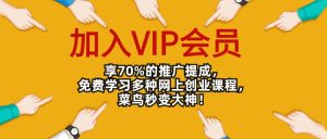 加入VIP会员,享70%的推广提成,免费学习多种网上创业课程!-搞薯条网