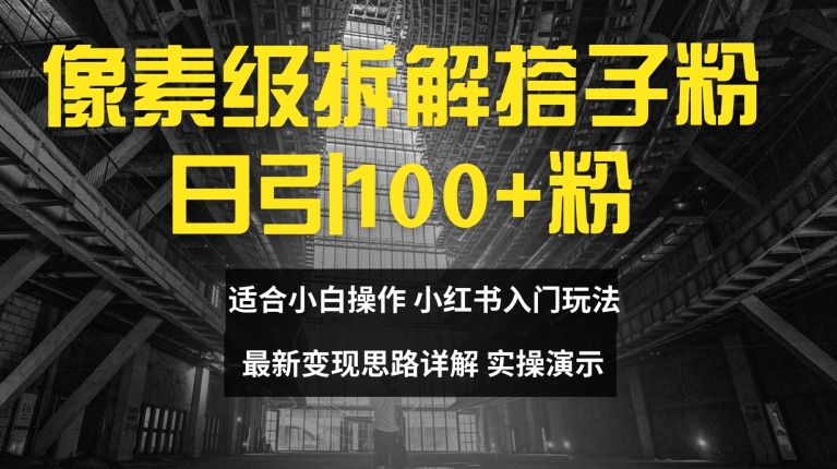 像素级拆解搭子粉，日引100+，小白看完可上手，最新变现思路详解【揭秘】-森森项目库
