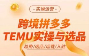 跨境拼多多TEMU实操与选品,多多temu跨境选品运营实操-搞薯条网