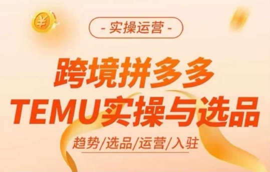 跨境拼多多TEMU实操与选品，多多temu跨境选品运营实操 - 搞薯条网-搞薯条网