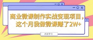 商业微课制作实战变现项目,这个月我做微课赚了2W+-搞薯条网