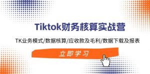 Tiktok财务核算实战营：TK业务模式/数据核算/应收款及毛利/数据下载及报表-搞薯条网