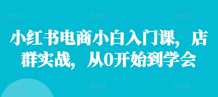 小红书电商小白入门课，店群实战，从0开始到学会 - 搞薯条网-搞薯条网