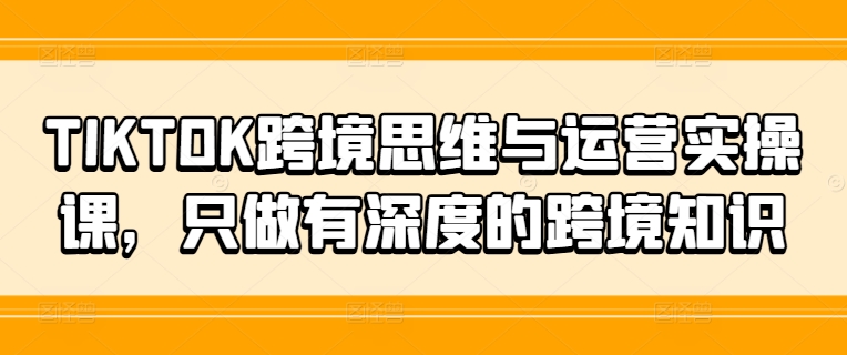 TIKTOK跨境思维与运营实操课，只做有深度的跨境知识 - 搞薯条网-搞薯条网