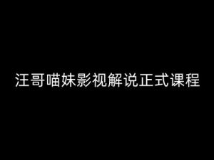 汪哥影视解说正式课程:剪映/PR教学/视解说剪辑5大黄金法则/全流程剪辑7把利器等等-搞薯条网