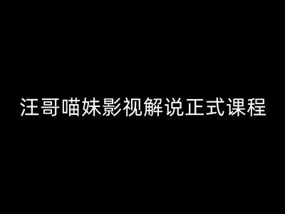 汪哥影视解说正式课程：剪映/PR教学/视解说剪辑5大黄金法则/全流程剪辑7把利器等等 - 搞薯条网-搞薯条网