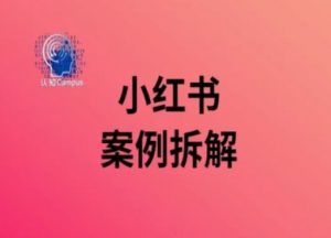 小红书案例拆解,深度解读小红书40万粉-搞薯条网