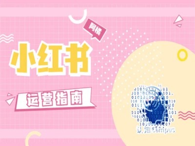 小红书运营指南，没有套路，全是经验 - 搞薯条网-搞薯条网