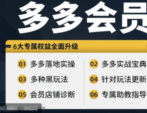 拼多多会员，拼多多实战宝典+实战落地实操，从新手到高阶内容全面覆盖 - 搞薯条网-搞薯条网