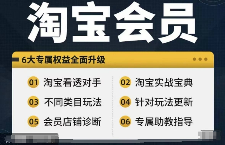 淘宝会员【淘宝所有课程，全面分析对手】，初级到高手全系实战宝典 - 搞薯条网-搞薯条网