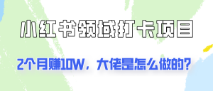 通过小红书领域打卡项目2个月赚10W,大佬是怎么做的?-搞薯条网