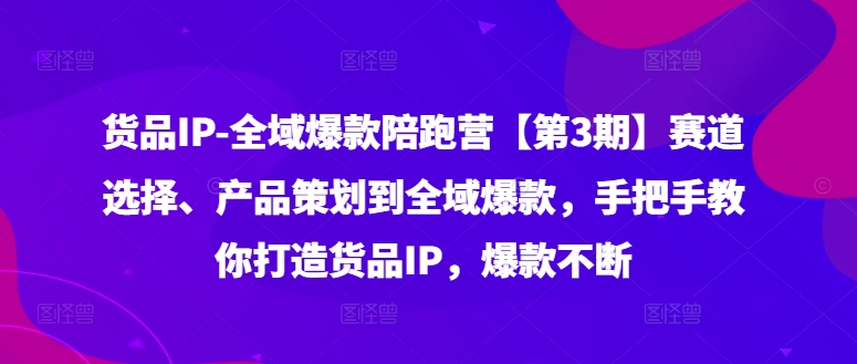 货品IP全域爆款陪跑营【第3期】赛道选择、产品策划到全域爆款，手把手教你打造货品IP，爆款不断 - 搞薯条网-搞薯条网
