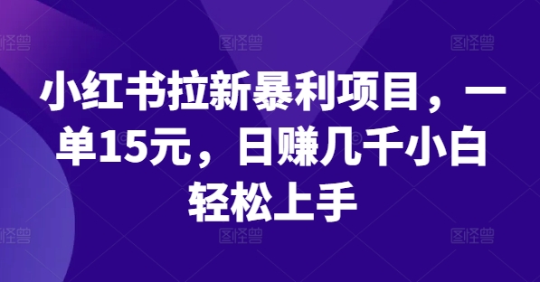 小红书拉新暴利项目，一单15元，日赚几千小白轻松上手【揭秘】 - 搞薯条网-搞薯条网