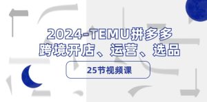 2024-TEMU拼多多·跨境开店、运营、选品(25节视频课-搞薯条网