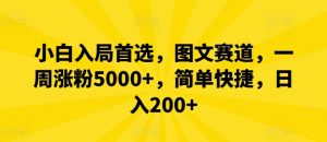 小白入局首选，图文赛道，一周涨粉5000+，简单快捷，日入200+-搞薯条网