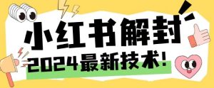 2024最新小红书账号封禁解封方法，无限释放手机号【揭秘】-搞薯条网