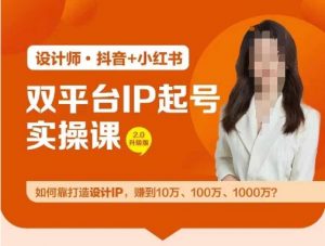 双平台IP起号实操营,教你如何靠打造设计IP,赚到10万、100万、1000万?-搞薯条网