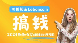 法国闲鱼Leboncoin跨境电商教程：环境邮箱电话解决产品上传及流量，悄悄赚钱-搞薯条网