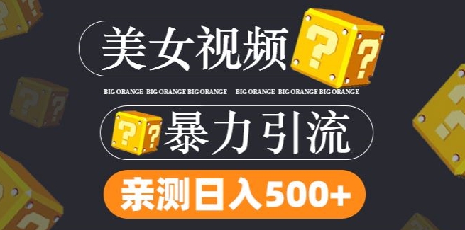 搬运tk美女视频全网分发，日引s粉300+，轻松变现，不限流量不封号【揭秘】 - 搞薯条网-搞薯条网