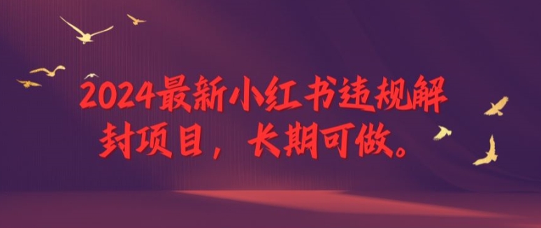 2024最新小红书违规解封项目，长期可做，一个可以做到退休的项目【揭秘】-路子网