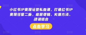 小红书IP变现运营私教课，打通红书IP变现任督二脉，底层逻辑、实操方法、战训结合-搞薯条网